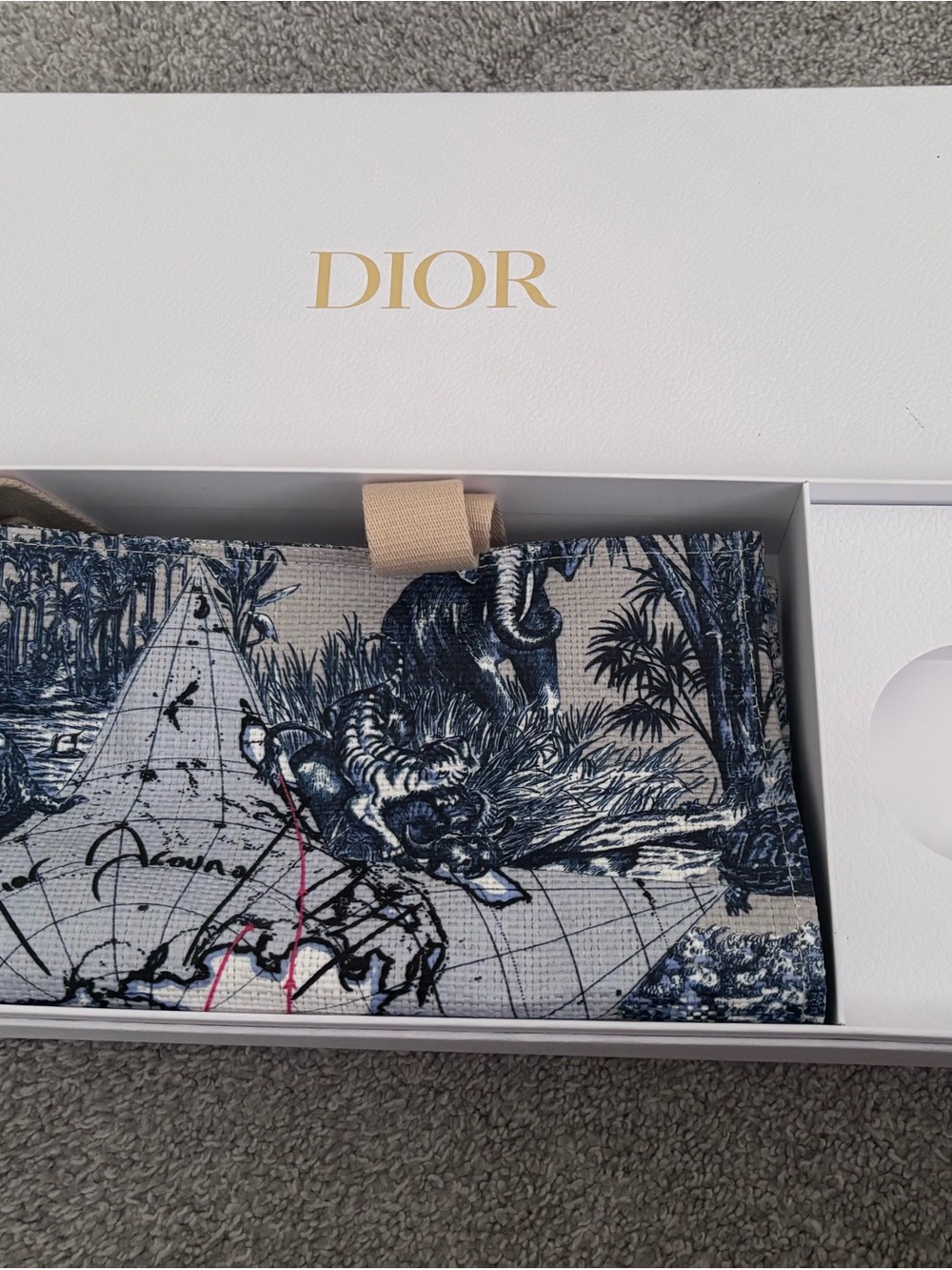 Dior Toile de Jouy Printed Tote in Navy & White